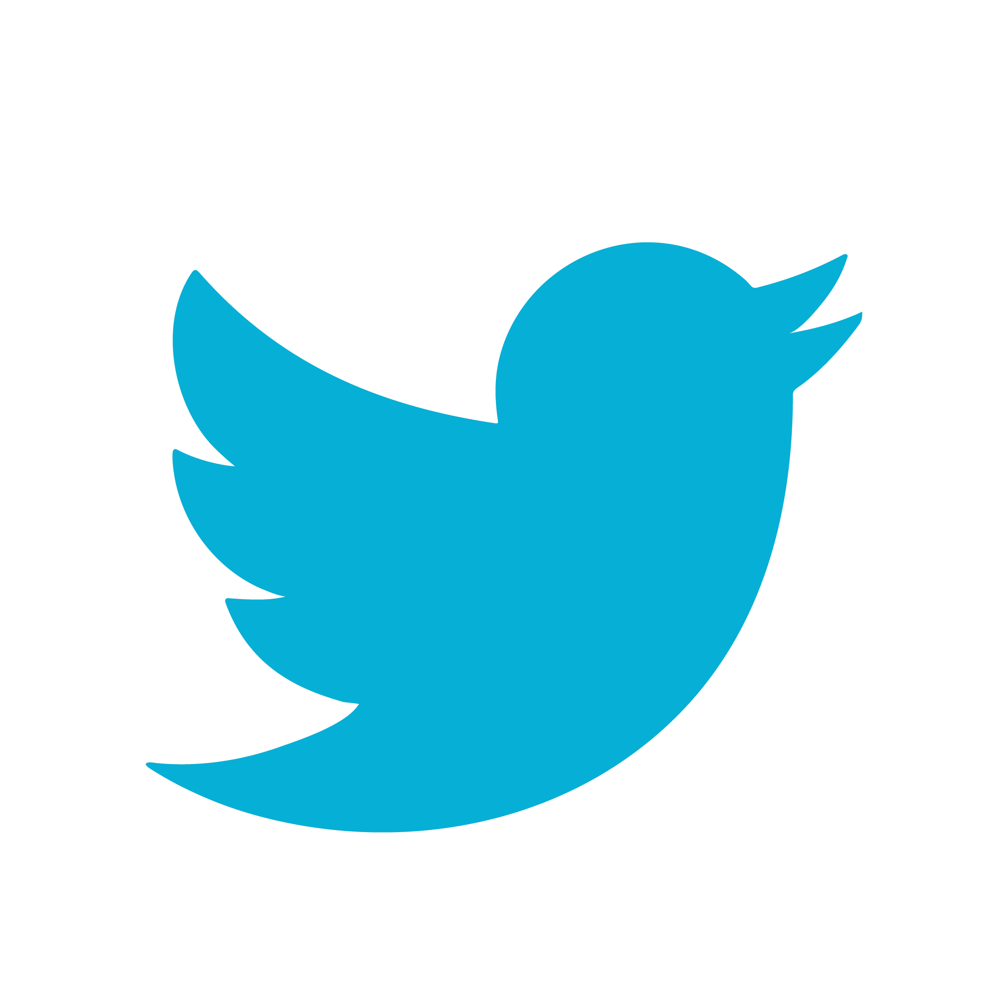 twitter-bird-logo-png.webp